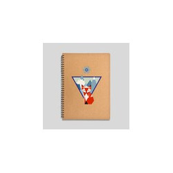 Lot de 3 carnets de notes